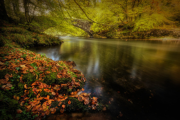 Autumn bridge