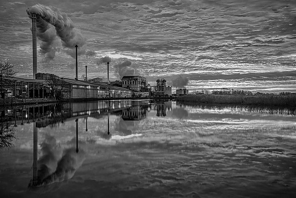Cantley red, mono