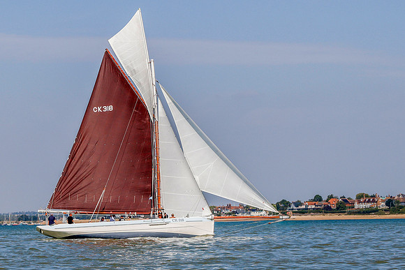 Wayne Davey Mersea monday 11-8-25 11