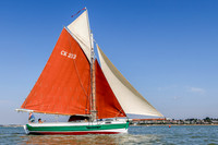 Wayne Davey Mersea monday 11-8-25 16