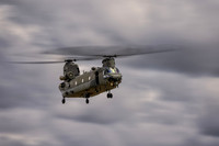 Chinook
