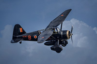 Black Lysander