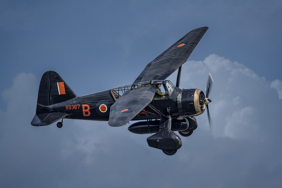 Black Lysander