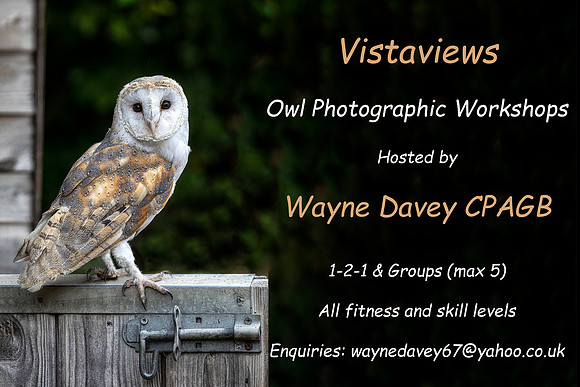 A) VV Owl workshop advert