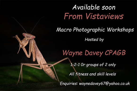 VV Macro workshop advert