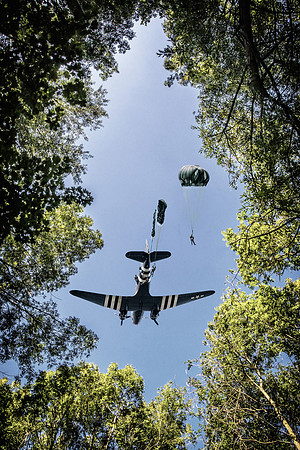 Dak tree drop