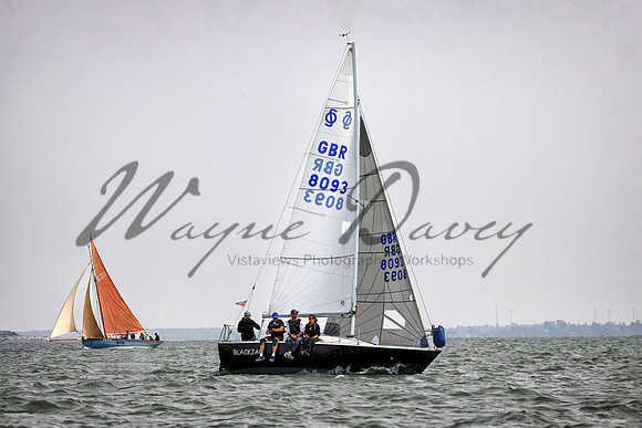 Mersea Week 24 Monday_WD_00025