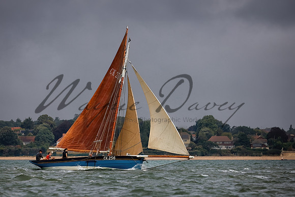 Mersea Week 24 Monday_WD_00026