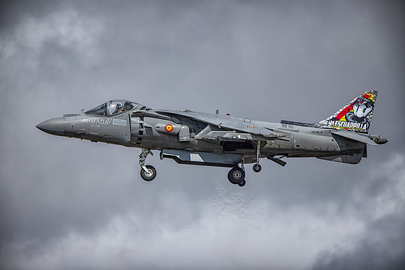 Spanish Harrier copy