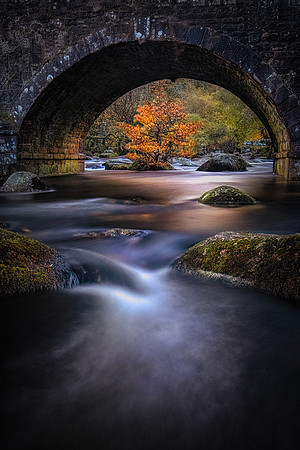 Autumn bridge copy
