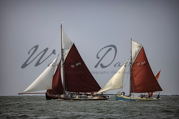 Mersea Week 24 Monday_WD_00007