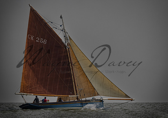 mersea week 24 MONDAY_WD_00029