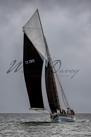Mersea Week 24 Monday_WD_00002