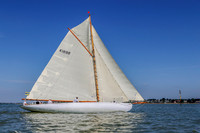 Wayne Davey Mersea monday 11-8-25 20